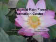 Tropical Rain Forest Information Center: providing earth science data and information services