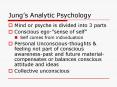 Jungs Analytic Psychology