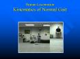 Human Locomotion Kinematics of Normal Gait