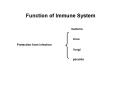 Function of Immune System