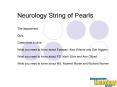 Neurology String of Pearls The department Quiz Cases from a clinic What you need to know about Epile