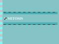 MITOSIS