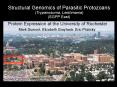 Structural Genomics of Parasitic Protozoans Trypanosoma, Leishmania SGPP East