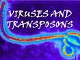 VIRUSES AND TRANSPOSONS
