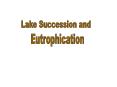 Lake Succession and