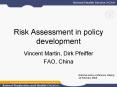 Risk Assessment in policy development