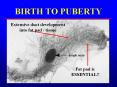 BIRTH TO PUBERTY