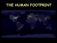 THE HUMAN FOOTPRINT