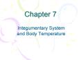 Integumentary System and Body Temperature