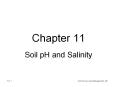 Soil pH and Salinity
