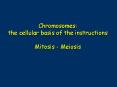 Chromosomes: the cellular basis of the instructions Mitosis Meiosis