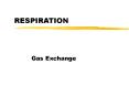 RESPIRATION
