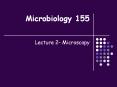 Microbiology 155