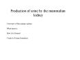 Production of urine by the mammalian