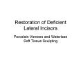 Westlake Village Dentist Dr Greenman