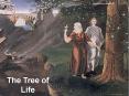 The Tree of Life
