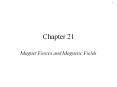 Magnet Forces and Magnetic Fields