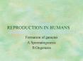 REPRODUCTION IN HUMANS