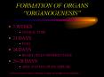 FORMATION OF ORGANS ORGANOGENESIS