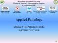 Applied Pathology
