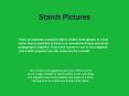 Starch Pictures