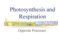 Photosynthesis and Respiration