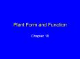 Plant Form and Function