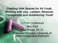 Creating Safe Spaces for All Youth Working with Gay, Lesbian, Bisexual, Transgender and Questioning