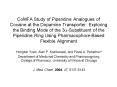 CoMFA Study of Piperidine Analogues of Cocaine at the Dopamine Transporter: Exploring the Binding Mo