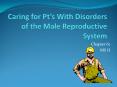 Caring for Pts With Disorders of the Male Reproductive System