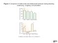 GI Motility online May 2006 doi:10.1038gimo11