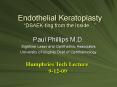 Endothelial Keratoplasty DSAEKting from the Inside