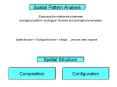 Spatial Pattern Analysis