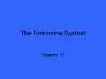 The Endocrine System
