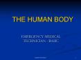 THE HUMAN BODY