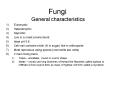 Fungi