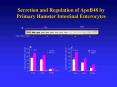 Secretion and Regulation of ApoB48 by
