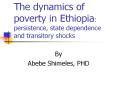 The dynamics of poverty in Ethiopia: persistence, state dependence and transitory shocks