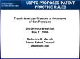 French American Chamber of Commerce