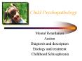 Child Psychopathology