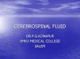 CEREBROSPINAL FLUID
