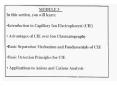 Capillary Ion Electrophoresis CIE or Capillary Ion Analysis