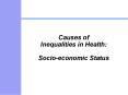 Causes of Inequalities in Health: Socio-economic Status
