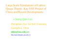 Large Scale Simulations of Lattice Gauge Theory: Key NSF Project of China and Recent Developments