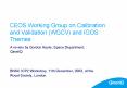 CEOS Working Group on Calibration and Validation WGCV and IGOS Themes