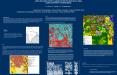 LAND USELAND COVER CLASSIFICATION OF NEW DELHI, INDIA,