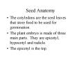 Seed Anatomy