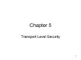 Transport Level Security