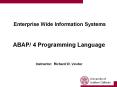 Enterprise Wide Information Systems  ABAP/ 4 Programming Language  Instructor: Richard W. Vawter