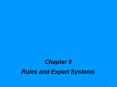 Rules and Expert Systems
